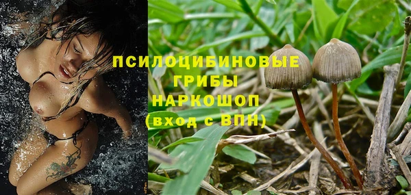 соль ск Куйбышев
