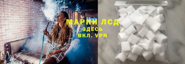эйфоретик Кукмор