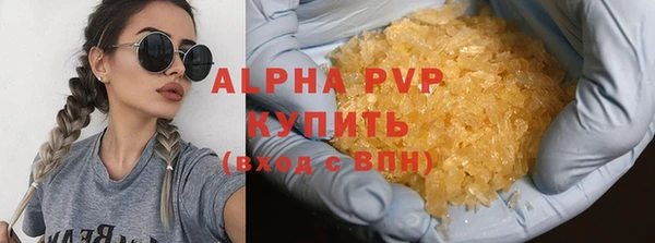 эйфоретик Кукмор